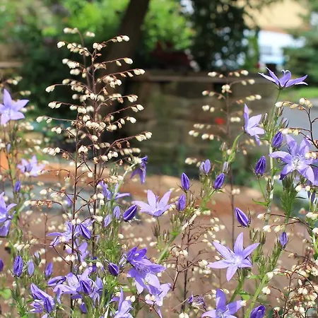 Maison Mille Fleurs Sankt Julian