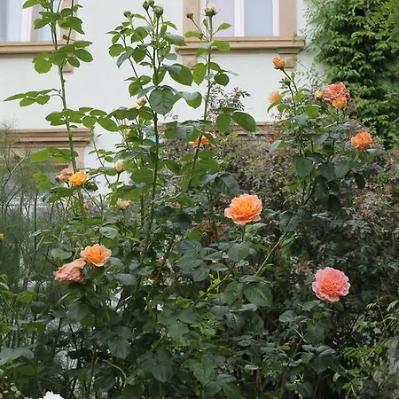 Maison Mille Fleurs Apartamento *