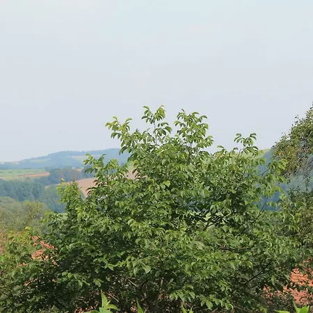 Maison Mille Fleurs * Sankt Julian