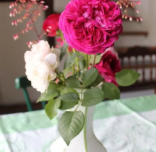 Maison Mille Fleurs *