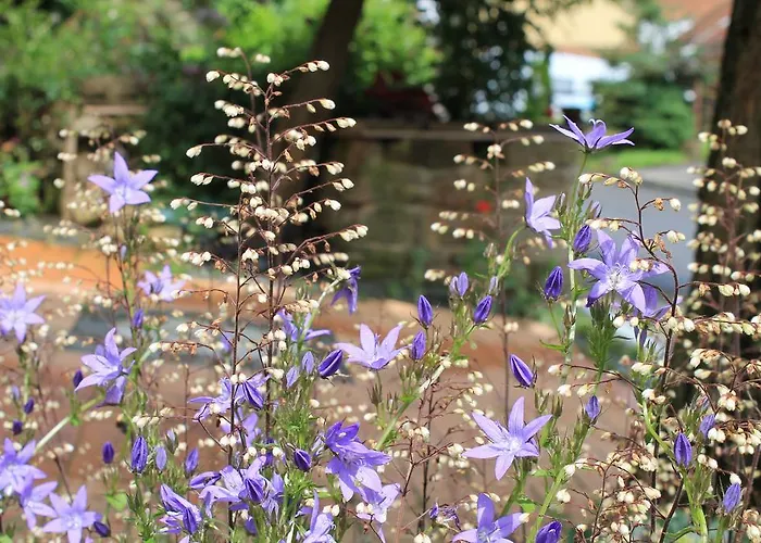 Maison Mille Fleurs Sankt Julian