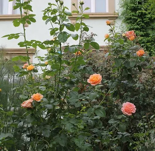 Maison Mille Fleurs Apartamento *