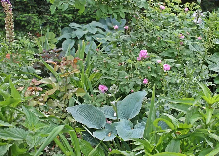 Apartamento Maison Mille Fleurs *