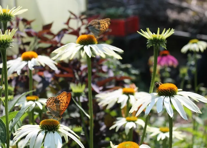 Maison Mille Fleurs Apartamento