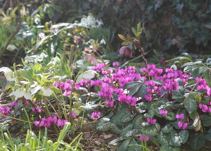 Maison Mille Fleurs * Sankt Julian